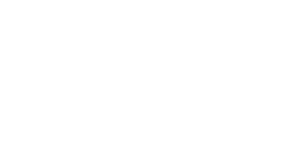 fox stratégie